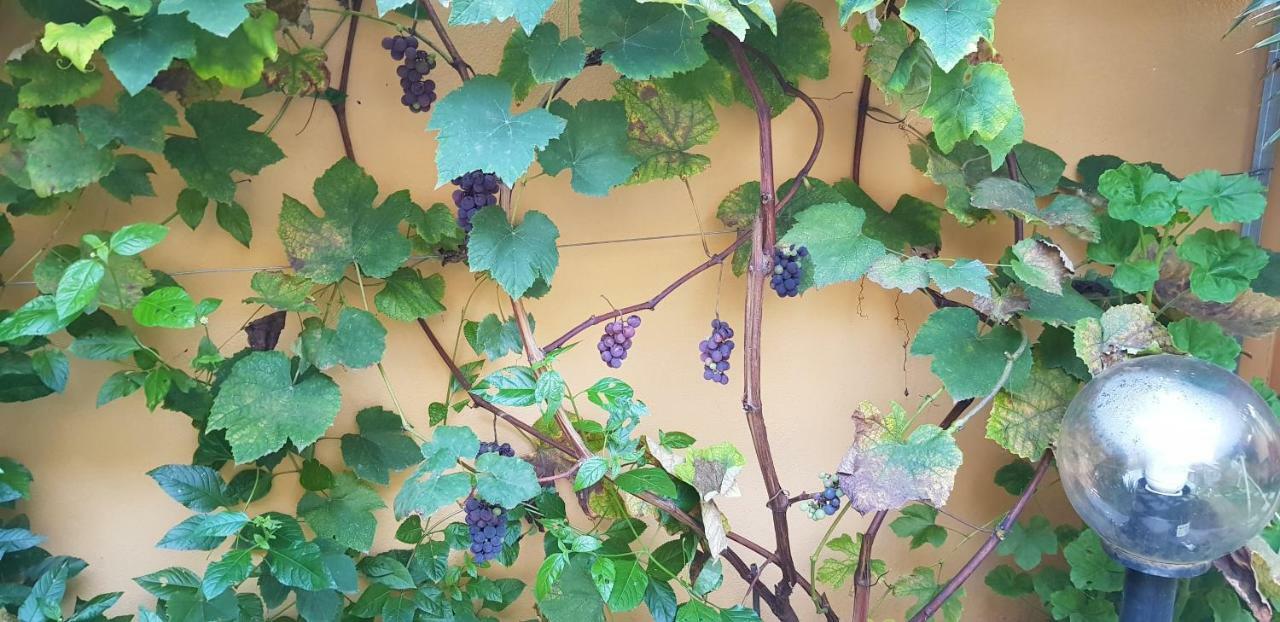 Holiday home Rose E Fiori Sardegna